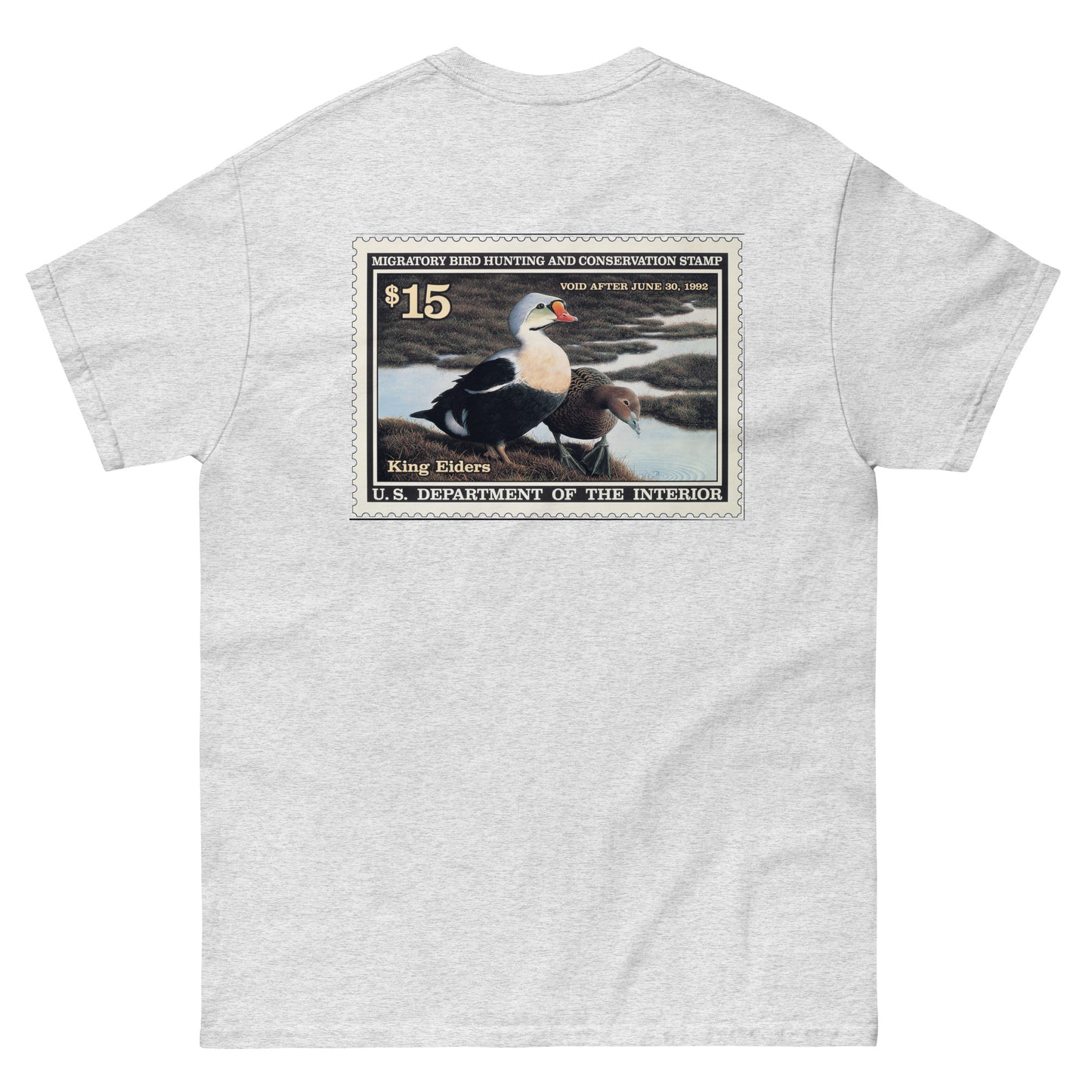 '91 King Eider