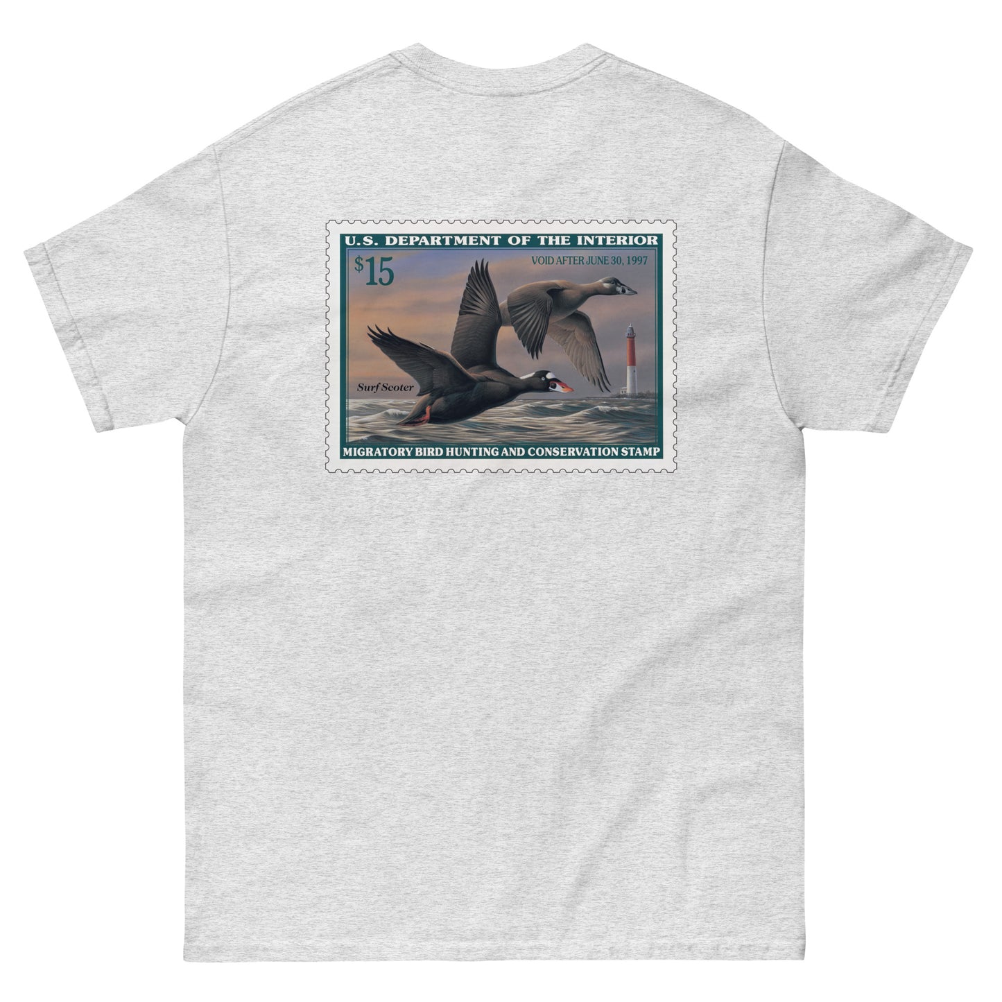 '96 Surf Scoter
