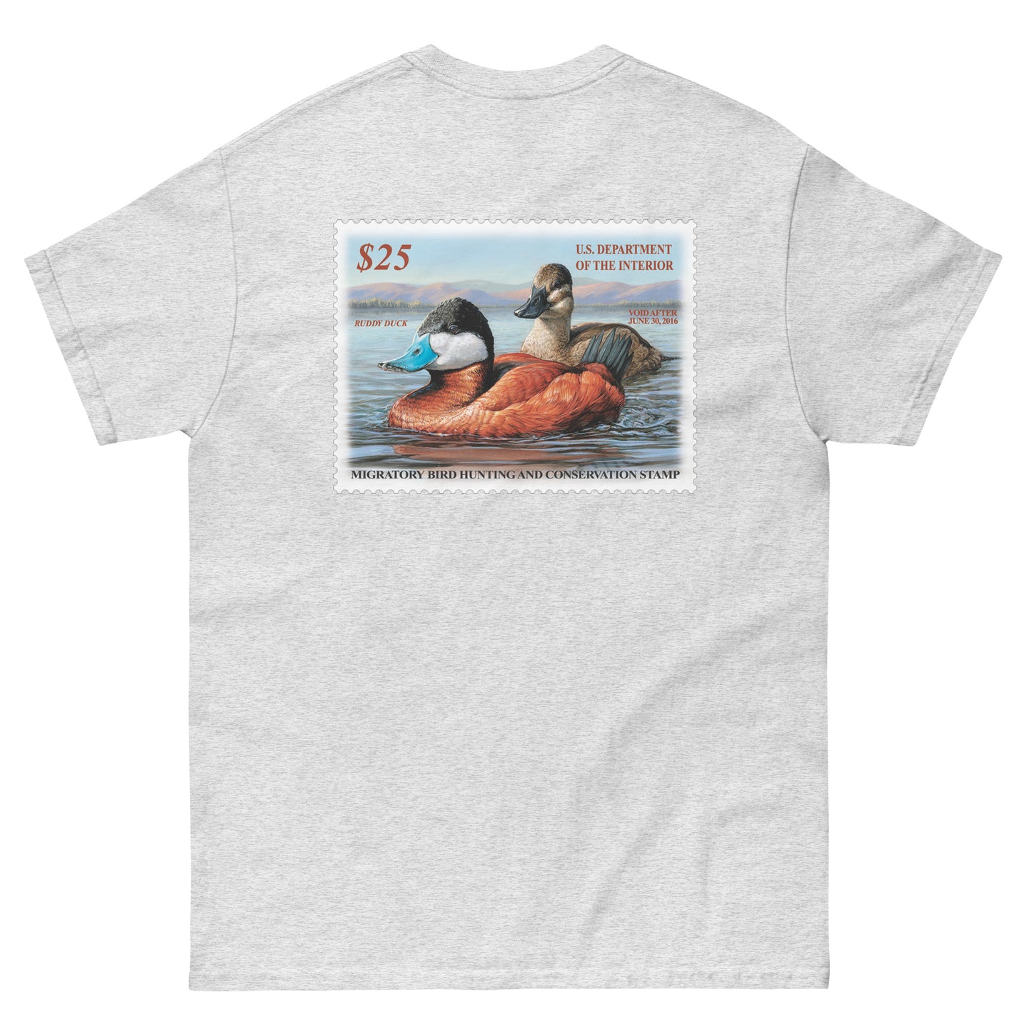 '15 Ruddy Duck