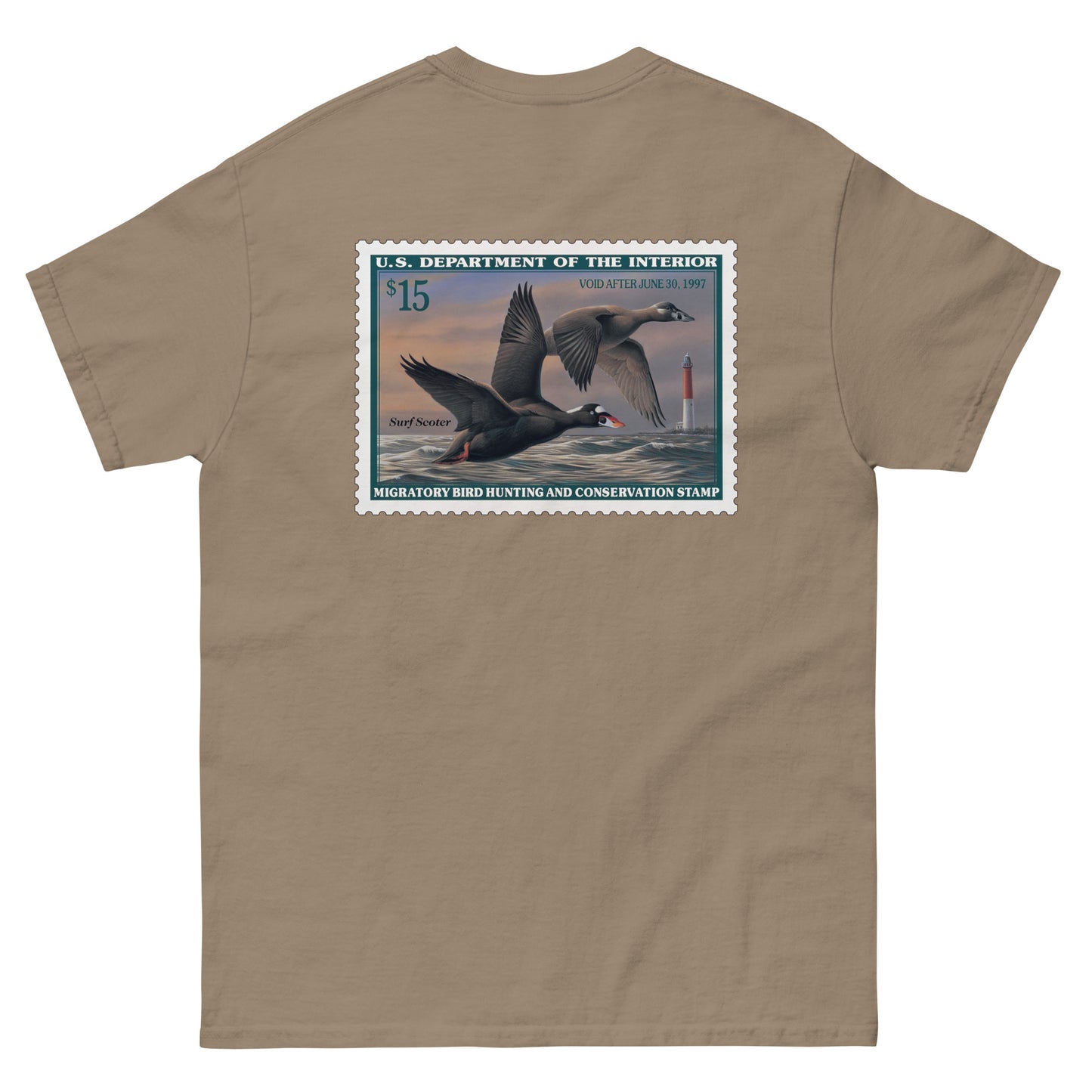'96 Surf Scoter