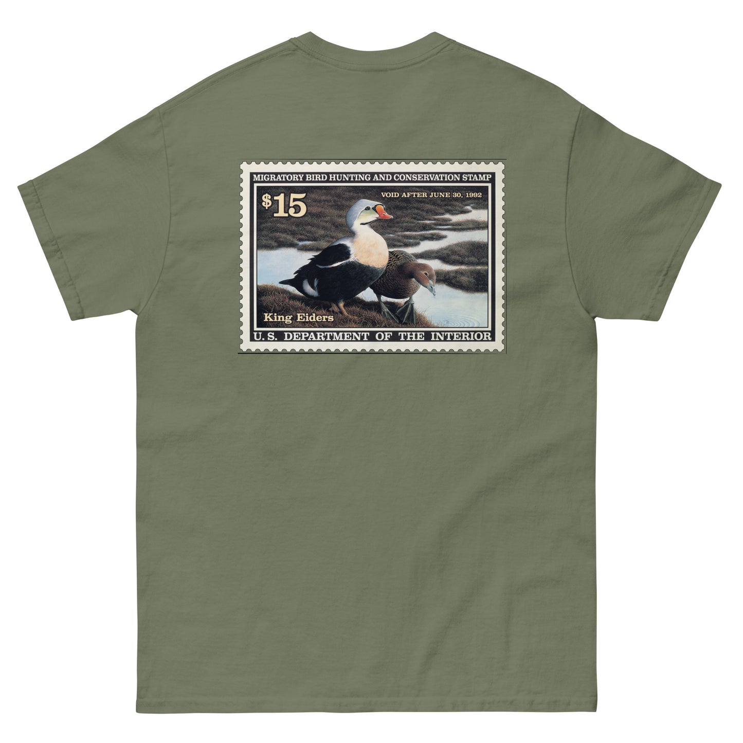 '91 King Eider