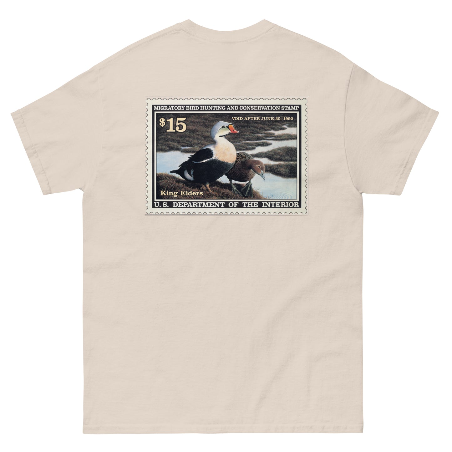 '91 King Eider