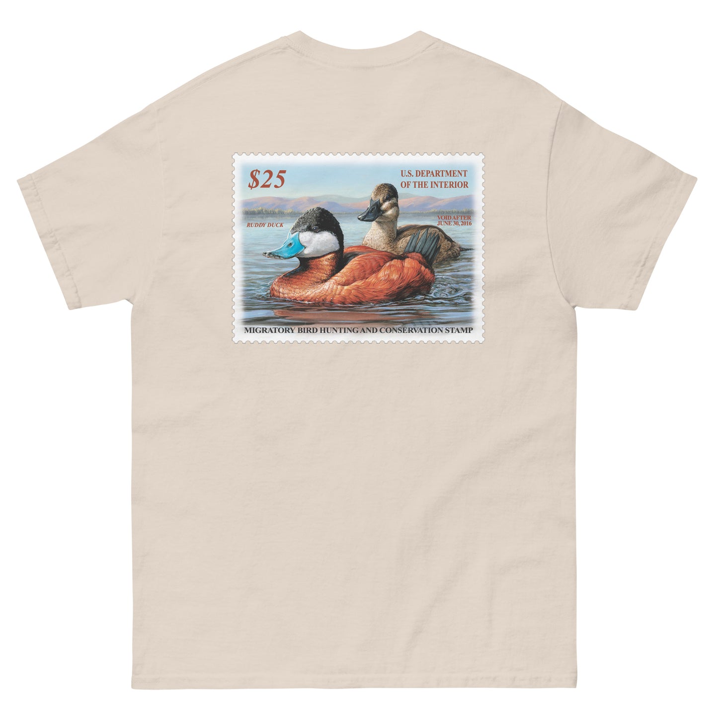 '15 Ruddy Duck