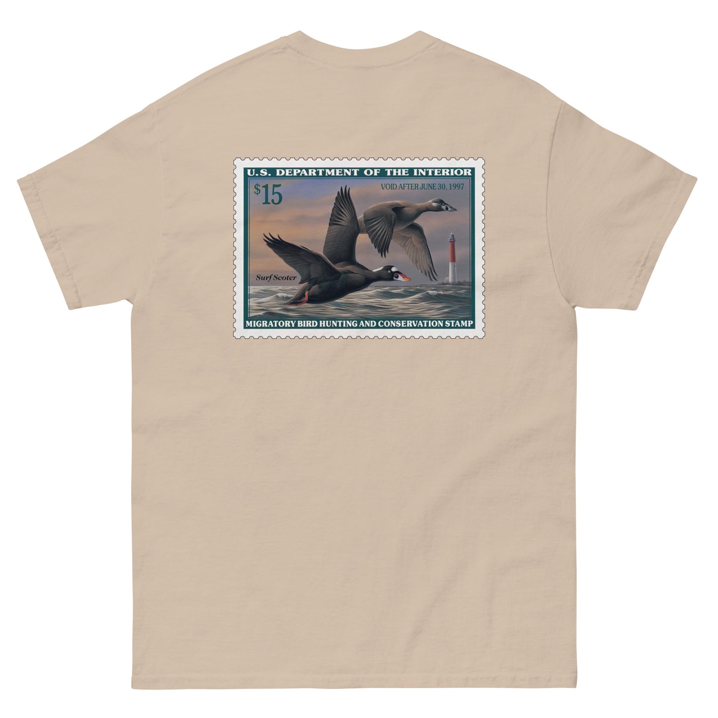 '96 Surf Scoter