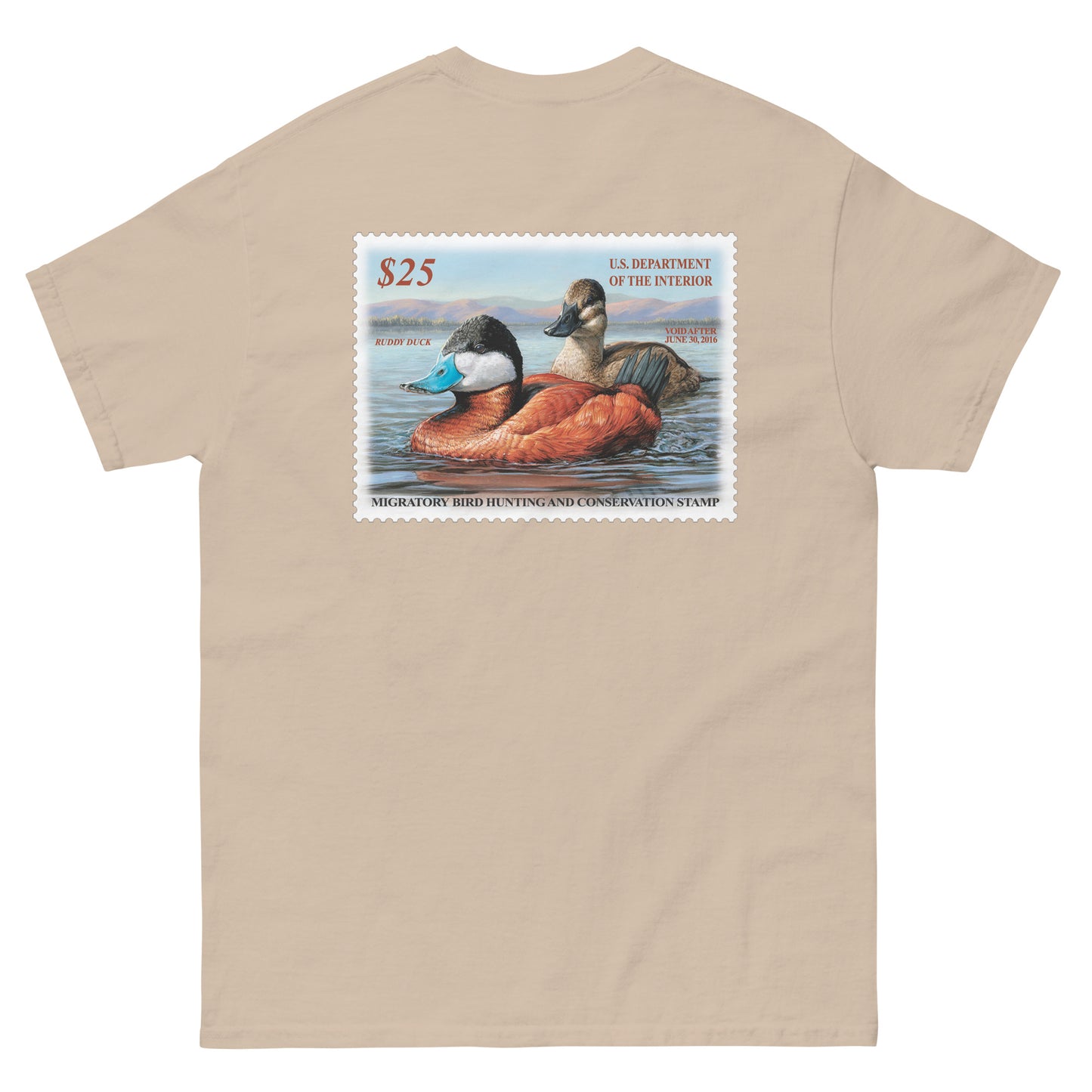 '15 Ruddy Duck