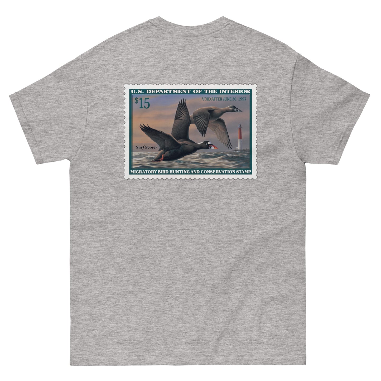 '96 Surf Scoter