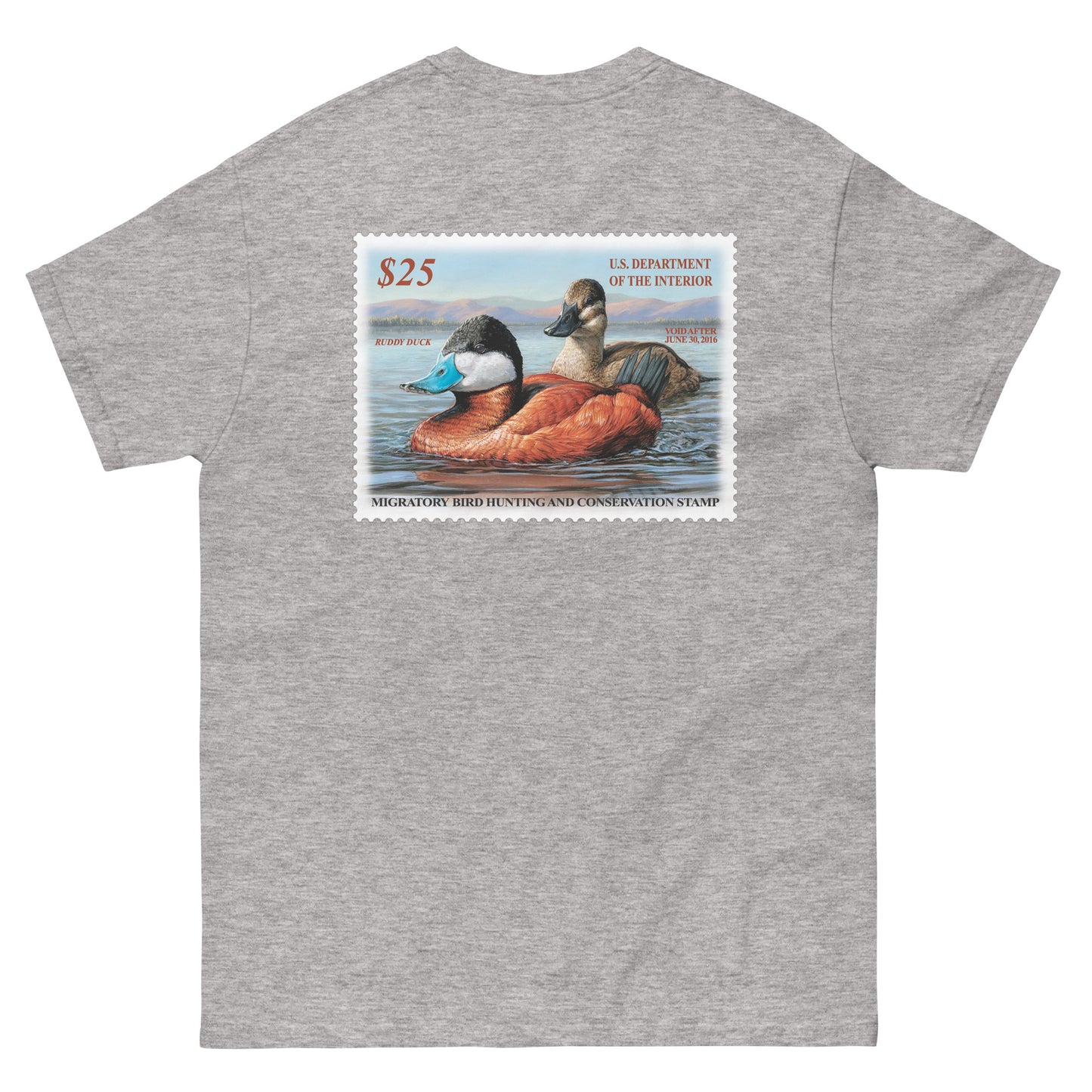 '15 Ruddy Duck
