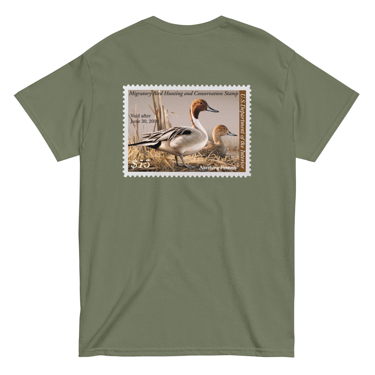 '08 Pintails