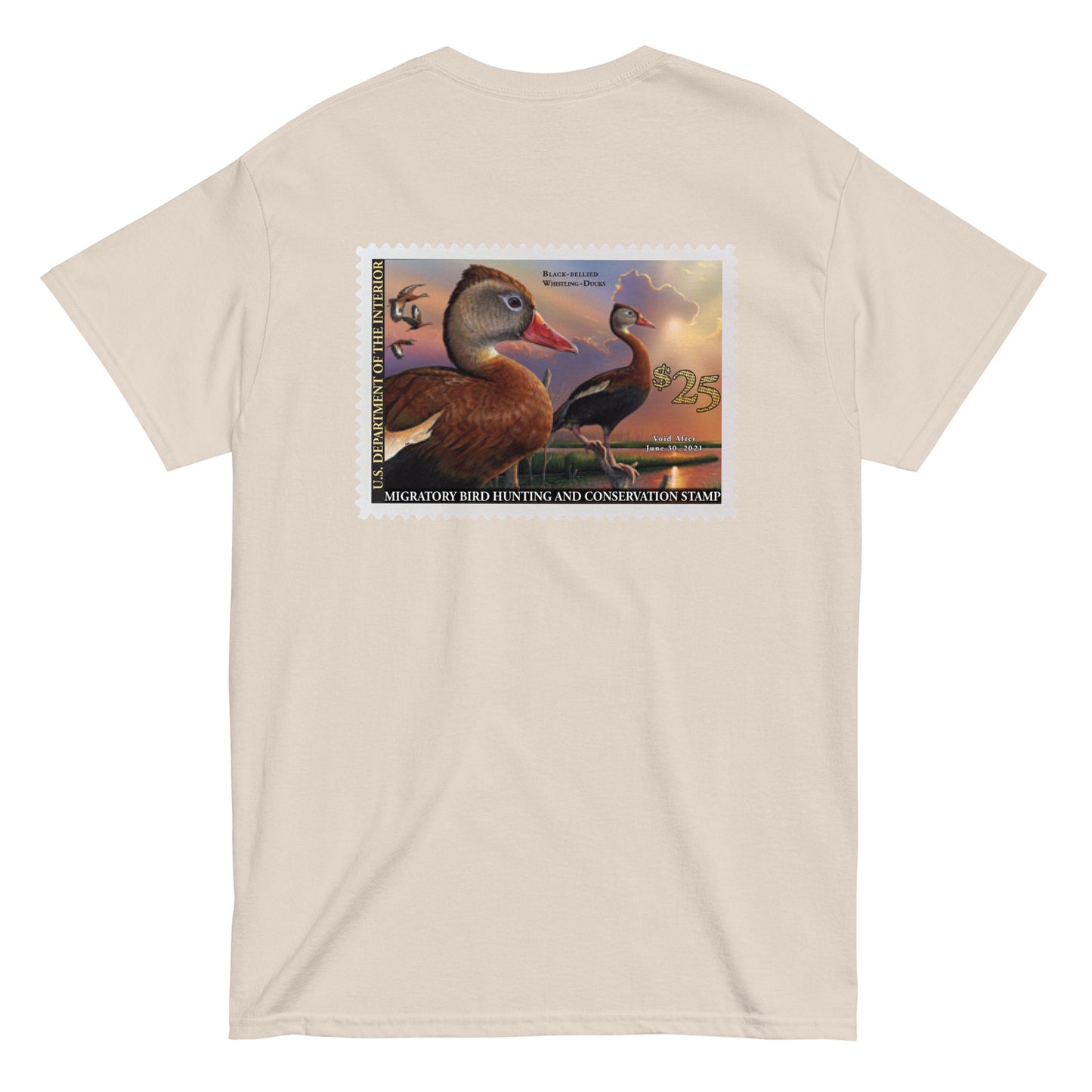 '20 Black-Bellied Whistling Duck