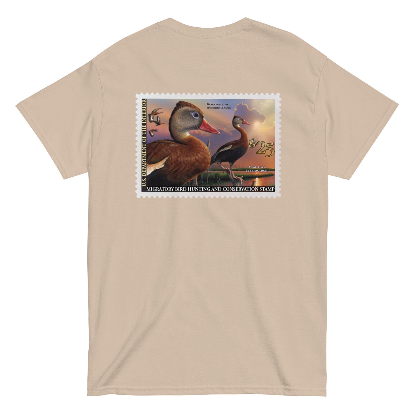 '20 Black-Bellied Whistling Duck