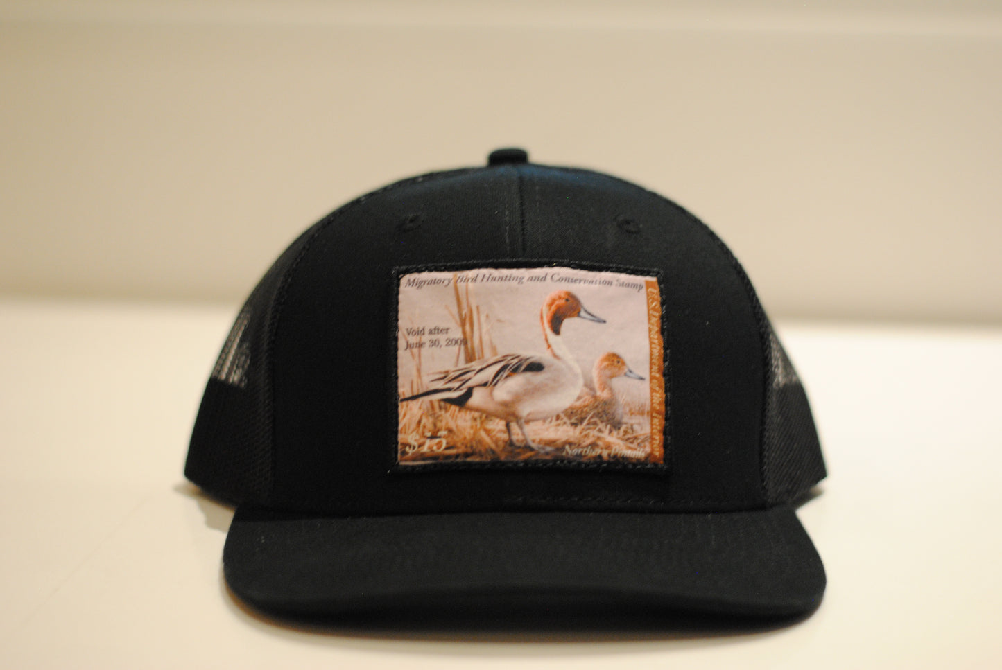 '08 Pintail Hat